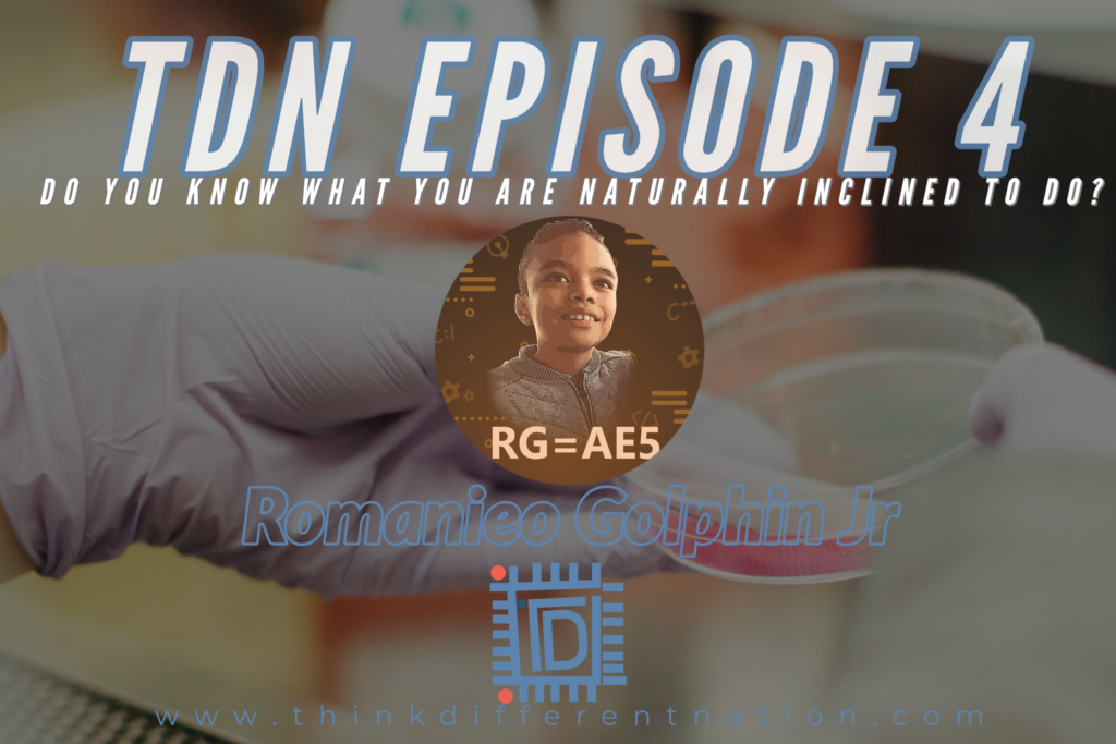 TDN Podcast Episode 4 : Do you know what you are naturally inclined to do?