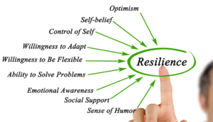 Here is why resilience is an important skill to work on and how you may build it - TDN Blog