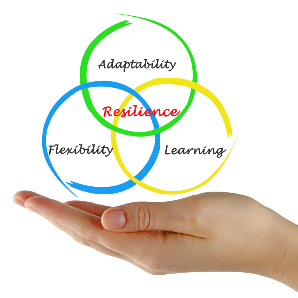 Why resilience is an important life skill & how you can build it - TDN Blog