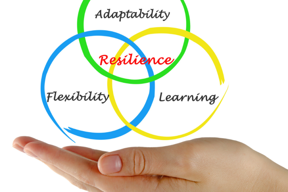 Why resilience is an important life skill & how you can build it - TDN Blog