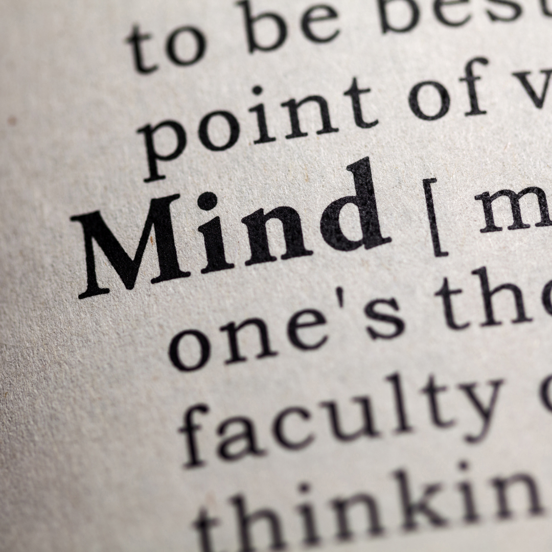 Discover Why a Focused Mind Is Important for Enjoying Life