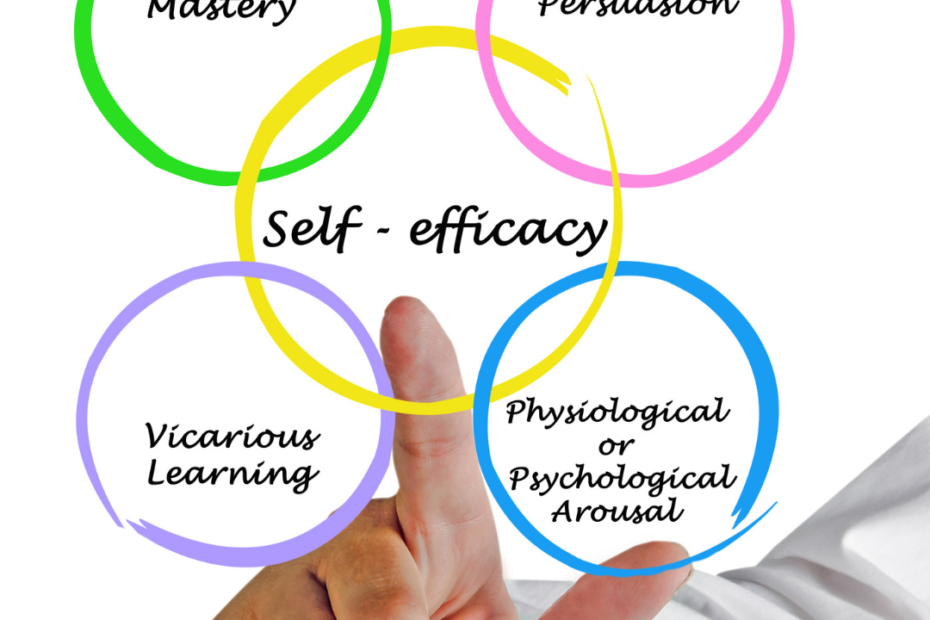 What is self-efficacy and why does it matter - TDN Blog