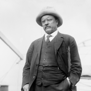 What is self-efficacy and why does it matter - Theodore Roosevelt - TDN Blog